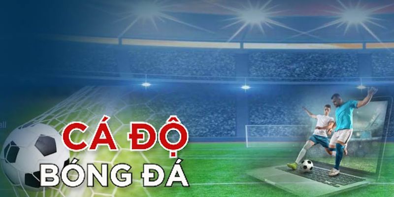 Tỷ lệ cá cược bóng đá Pháp Nhà cái nào cung cấp tỷ lệ cá cược bóng đá Pháp đáng tin cậy
