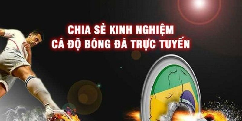 Những mẹo soi kèo bóng đá trực tiếp từ chuyên gia lâu năm