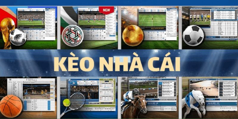 Tại sao nhận định bóng đá kèo nhà cái 5 lại quan trọng?