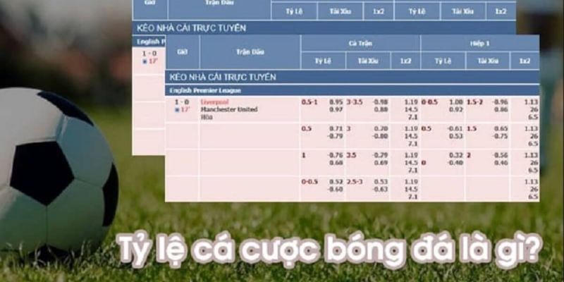 Tổng quan về tỷ lệ cá cược bóng đá Pháp