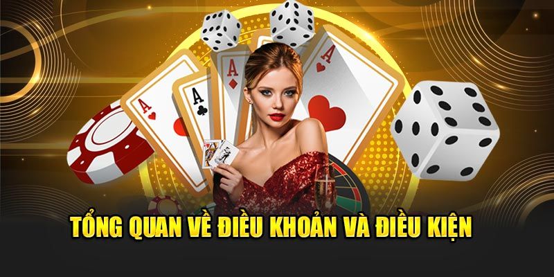 Điều kiện điều khoản Vai trò quan trọng của điều kiện điều khoản