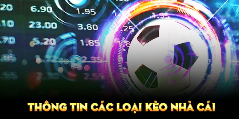 Thông tin các loại tỷ lệ cá cược bóng đá dễ chơi dễ trúng thưởng